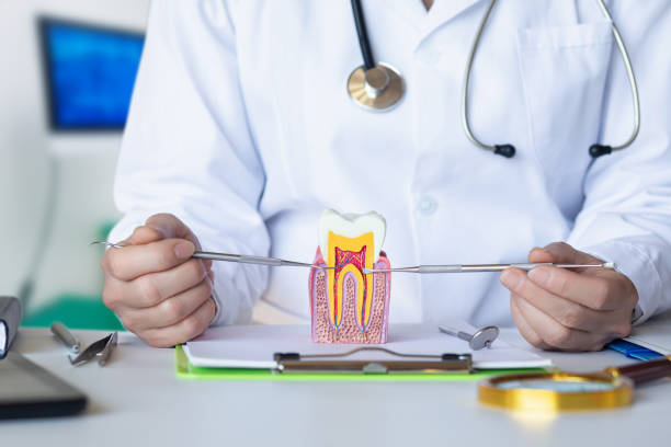 Best Emergency Dentist for Lost Fillings or Crowns in Orinda, CA